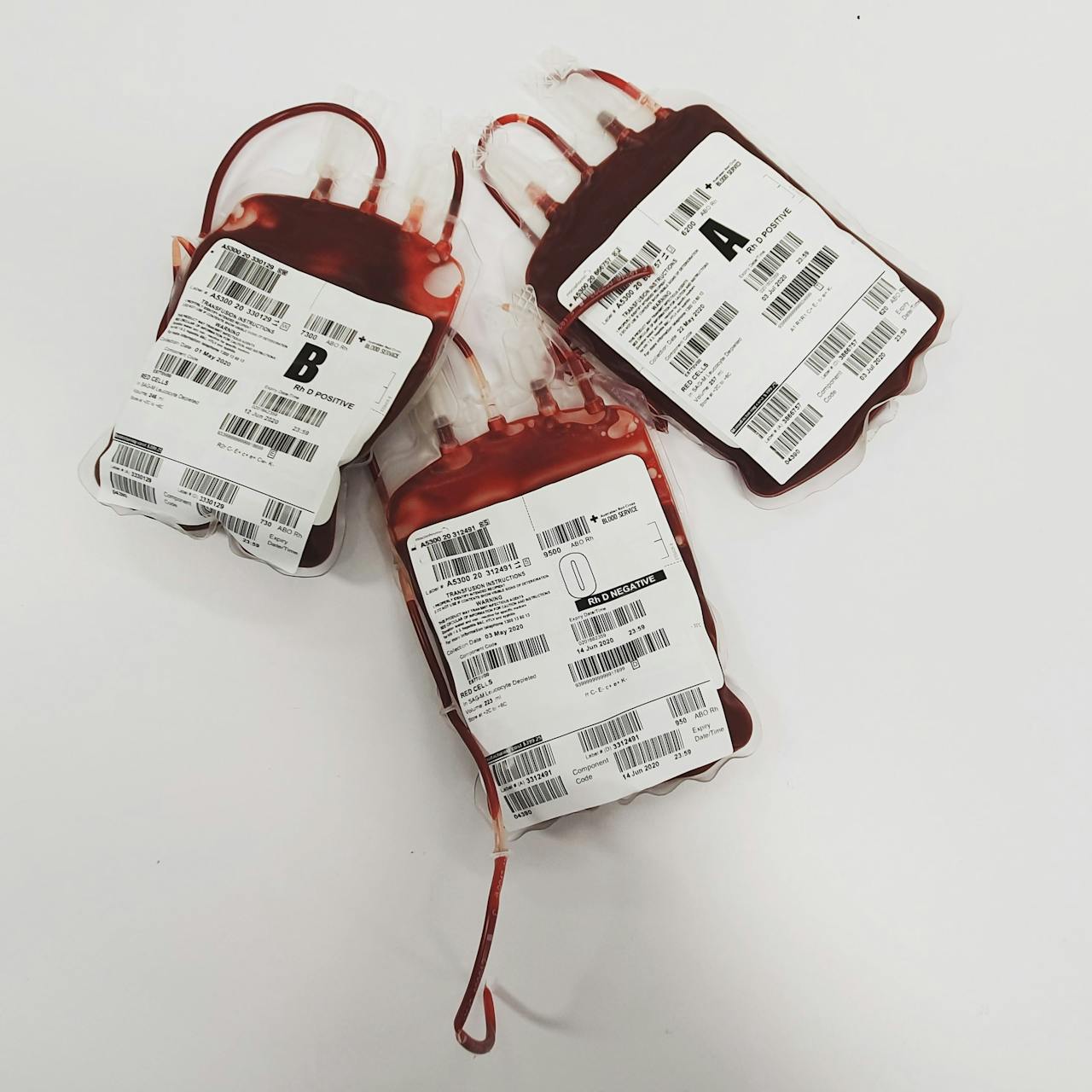 Doar sangue salva vidas: por que sua empresa deve fazer parte dessa causa?